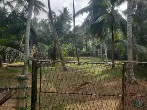 Bare Land for Sale in Kochchikade