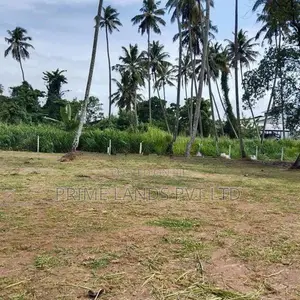 පැල්ලන්දෙණිය හන්දියෙන්ම බස් පාරෙන්ම ඉඩමක්