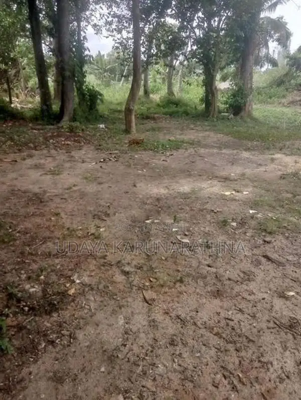 LAND FOUR SALE GOTHATUWA