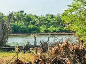 (AF129) Water Front 38.6 P Land Sale At Medawelikada Road Rajagiriya