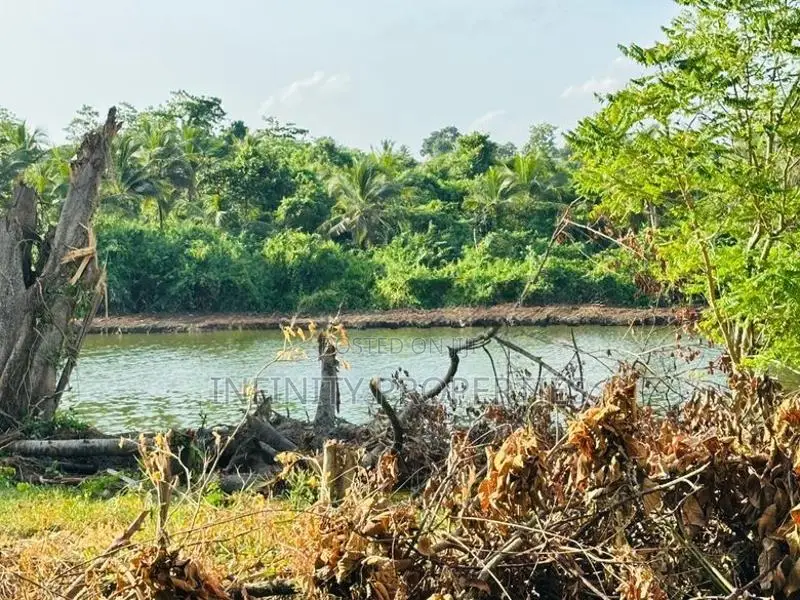 (AF129) Water Front 38.6 P Land Sale At Medawelikada Road Rajagiriya