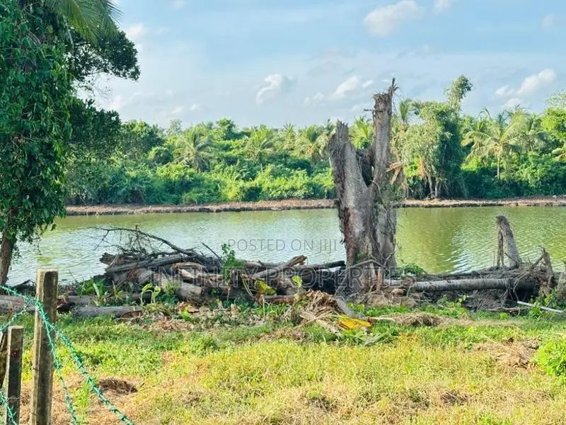 (AF129) Water Front 38.6 P Land Sale At Medawelikada Road Rajagiriya