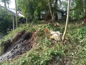 A Valuable Plot of Land in Wataraka, Padukka.