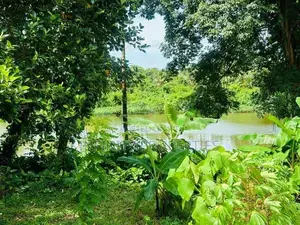 (AF129) Water Front 38.6 P Land Sale At Medawelikada Road Rajagiriya