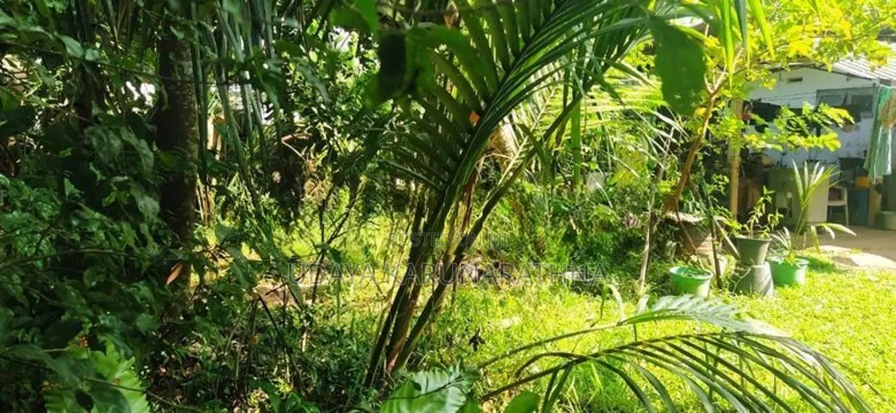 HOUSE FOUR SALE KADUWELA