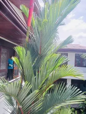 (AF125) 02 Story House Sale At Pagoda Road Nugegoda