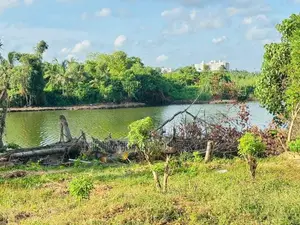(AF129) Water Front 38.6 P Land Sale At Medawelikada Road Rajagiriya