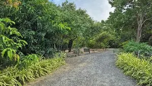 Boutique Villa for Long-Term Rent – Yala (CR159)