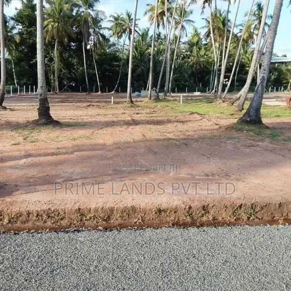 පැල්ලන්දෙණිය හන්දියෙන්ම බස් පාරෙන්ම ඉඩමක්