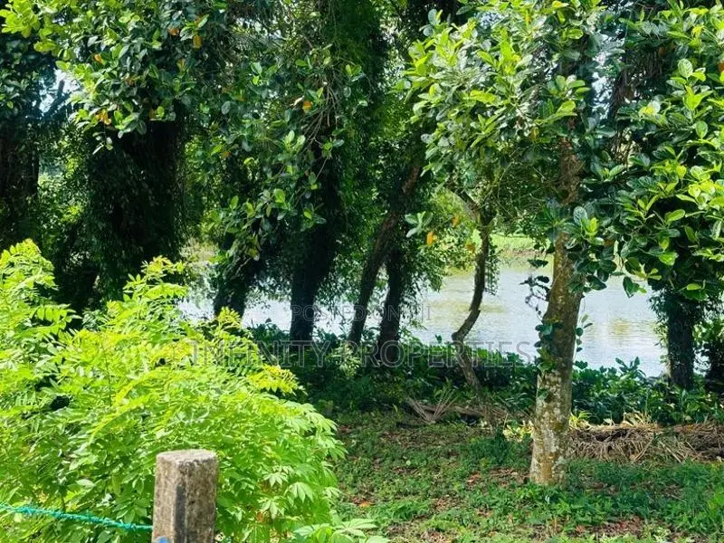 (AF129) Water Front 38.6 P Land Sale At Medawelikada Road Rajagiriya