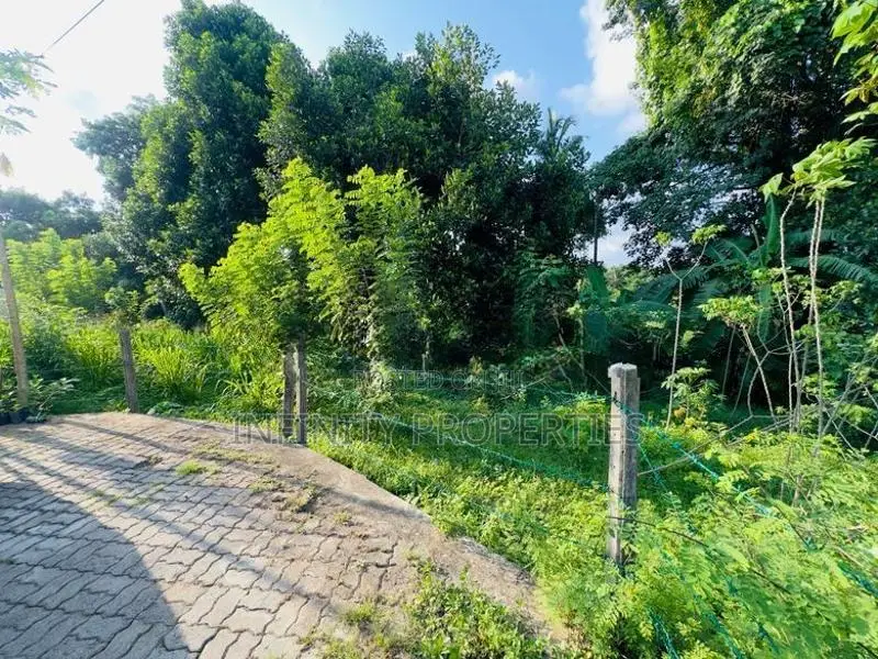 (AF129) Water Front 38.6 P Land Sale At Medawelikada Road Rajagiriya