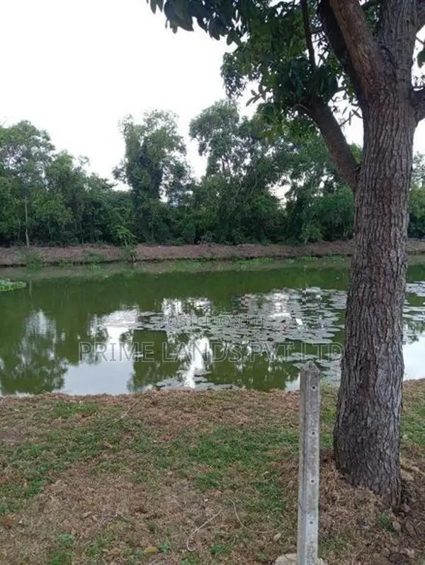 Water Front Land Plots in Nawala