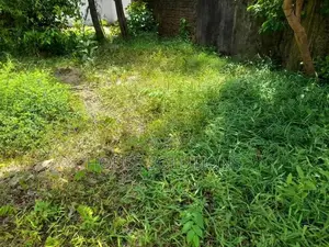 20 Perches Commercial Residential Land Mount Lavinia