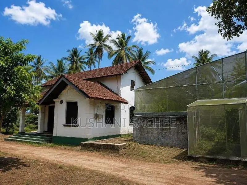 Land Facing to Paddy Field Makumbura