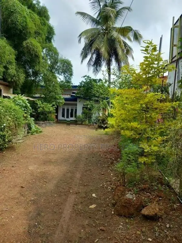 Commercial or ResidenceModern House for Rent in Kottawa 📍