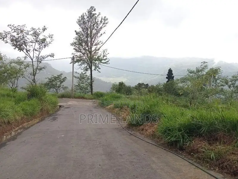 Land for Sale Pundaluoya