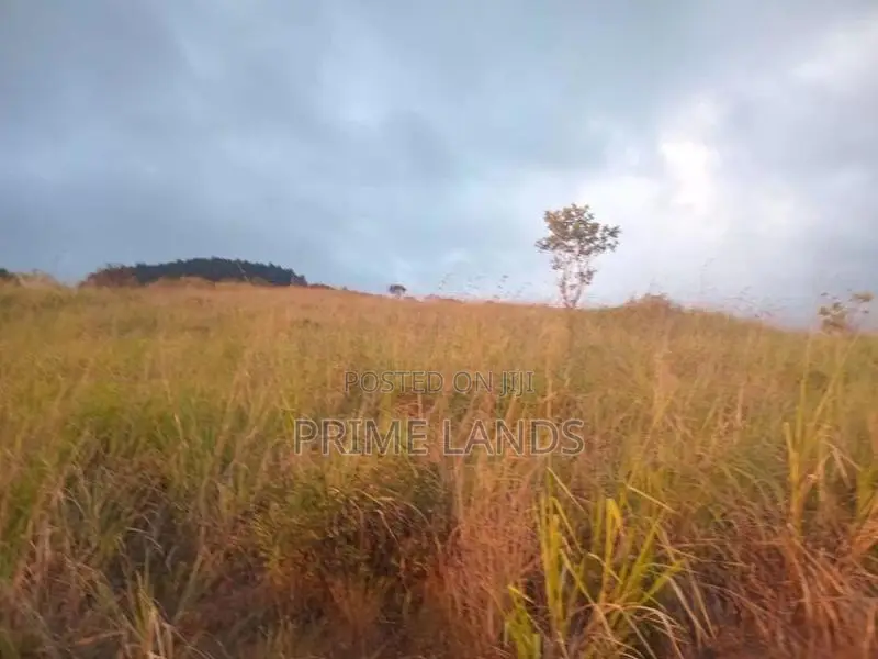 land for sale galaha