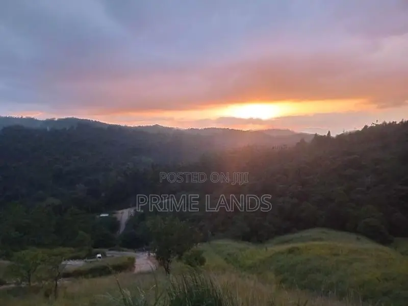 land for sale galaha