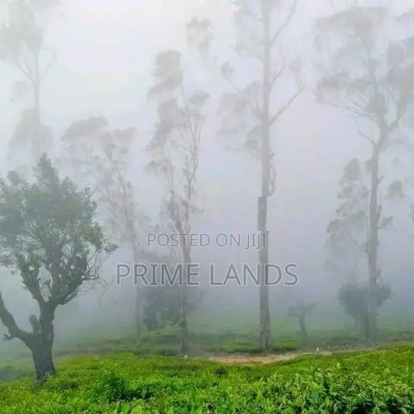 Land for Sale Ramboda