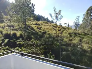 Montar Vista Homestay – Spacious House for Rent, Boralanda