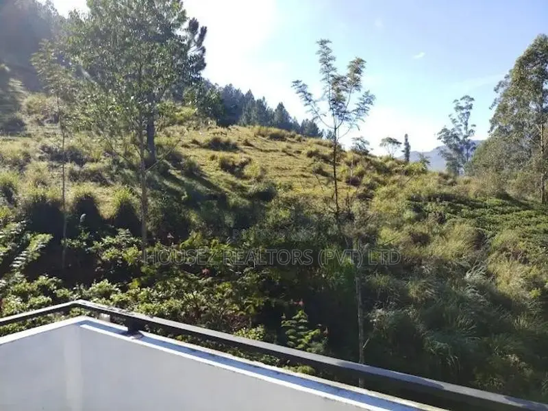 Montar Vista Homestay – Spacious House for Rent, Boralanda