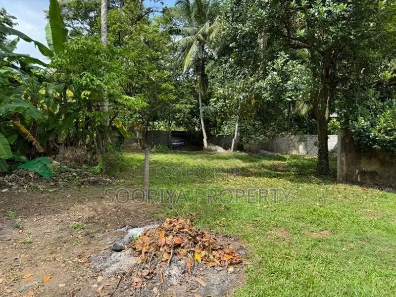 SUPERB LAND FOR SALE IN BORALESGAMUWA BOKUNDARA