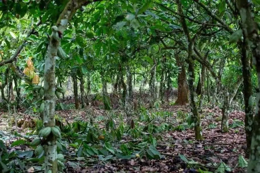 Land for Sale - Badalkumbura