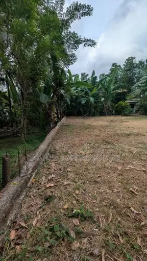 මාබිම – හෙයියන්තුඩුව වටිනා බිම්කොටසක් / DU 15113