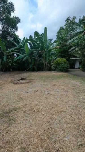 මාබිම – හෙයියන්තුඩුව වටිනා බිම්කොටසක් / DU 15113