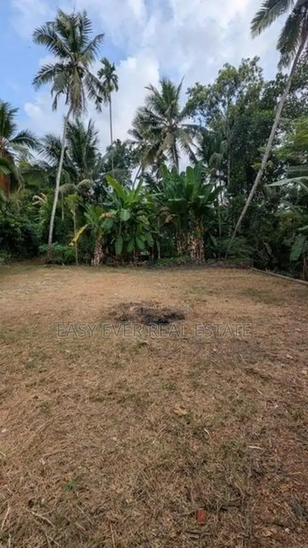 මාබිම – හෙයියන්තුඩුව වටිනා බිම්කොටසක් / DU 15113