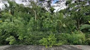 අකුරැස්ස මාරඹ ප්‍රදේශයේ විලා නිවසක් සමඟ ආදායම් ලබන තේ ඉඩමක් විකිණීමට