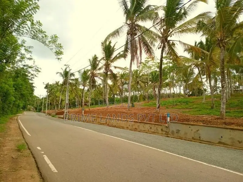 Lands for Sale in Ahangama