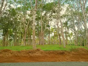 Lands for Sale in Ahangama
