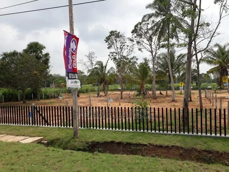 අනුරාධපුර පුත්තලම් පාරට මුහුණලා සින්නක්කර බිම්කොටසක් විකිණීමට
