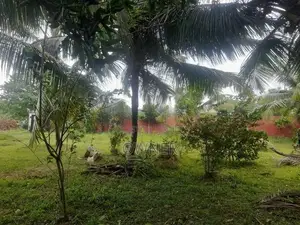 Two Story House for Rent in Panadura