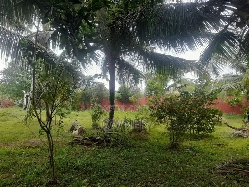 Two Story House for Rent in Panadura