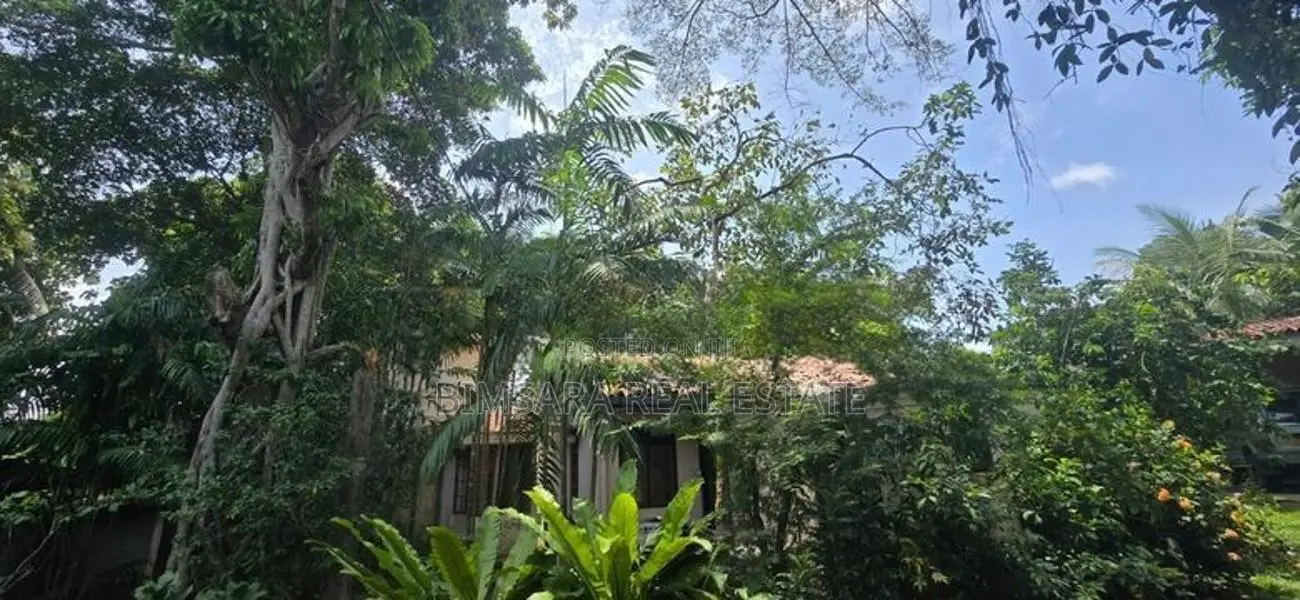 49.3P Land |Lush Green Surroundings|Near Monarch Imperial, Kotte|SL148