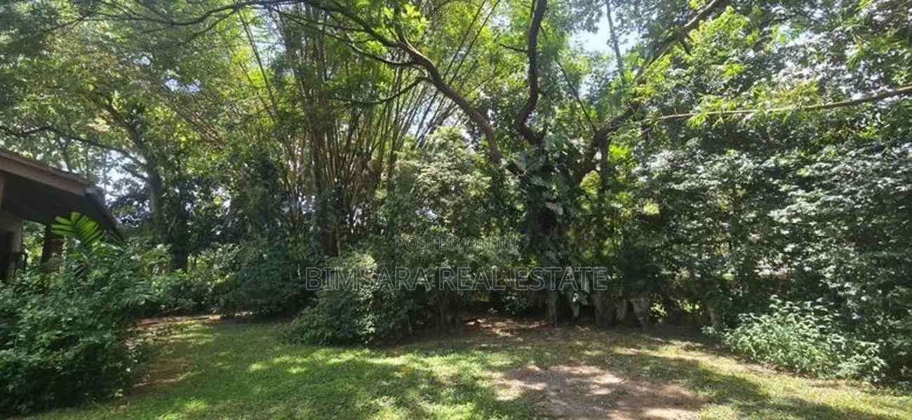 49.3P Land |Lush Green Surroundings|Near Monarch Imperial, Kotte|SL148