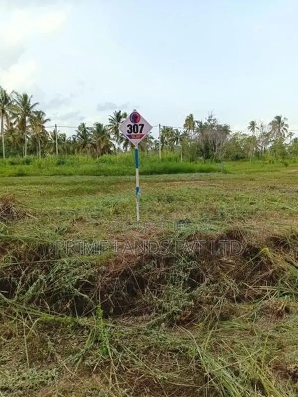 නාරම්මල ඉඩමක් විකිණීමට