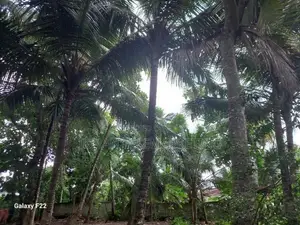 Land for Sale – Hokandara South (Off Lake Road)