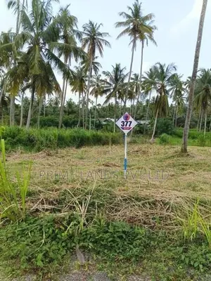 නාරම්මල ඉඩමක් විකිණීමට