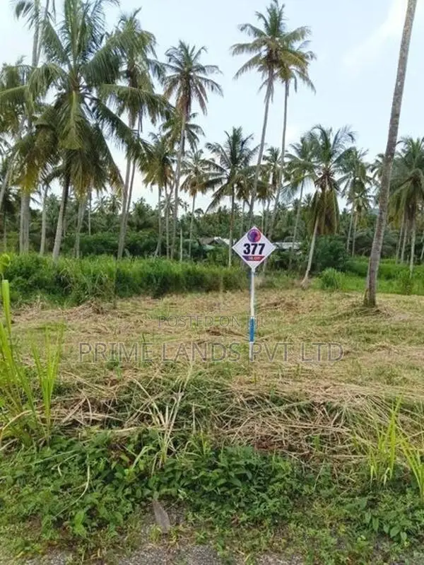 නාරම්මල ඉඩමක් විකිණීමට