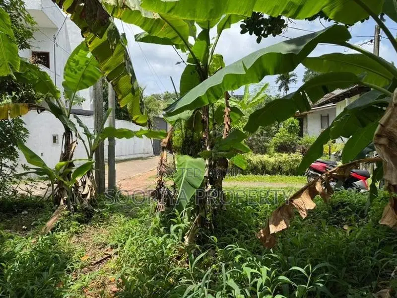 16 PERCHES HIGHLY RESIDENTIAL LAND FOR SALE IN PILIYANDALA