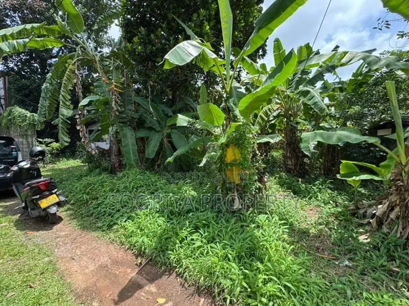 16 PERCHES HIGHLY RESIDENTIAL LAND FOR SALE IN PILIYANDALA