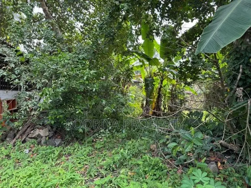 16 PERCHES HIGHLY RESIDENTIAL LAND FOR SALE IN PILIYANDALA