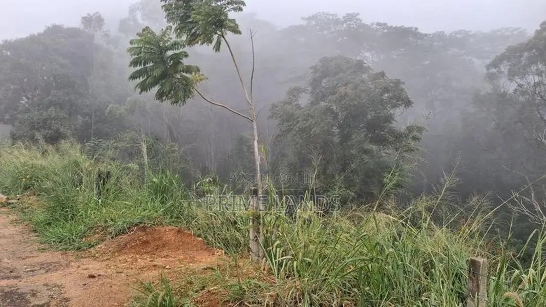Beautiful Land for Sale in Pussellawa Wahurupitiya