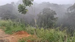 Beautiful Land for Sale in Pussellawa Wahurupitiya