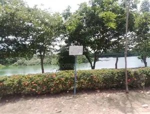 Beautiful Area Land for sale with livable House Borupana