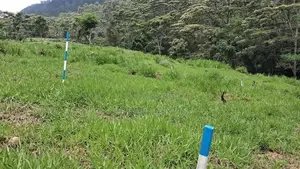 Beautiful Land for Sale in Pussellawa Wahurupitiya