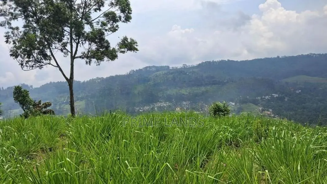 Beautiful Land for Sale in Pussellawa Wahurupitiya